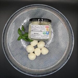 Mini Mozzarella